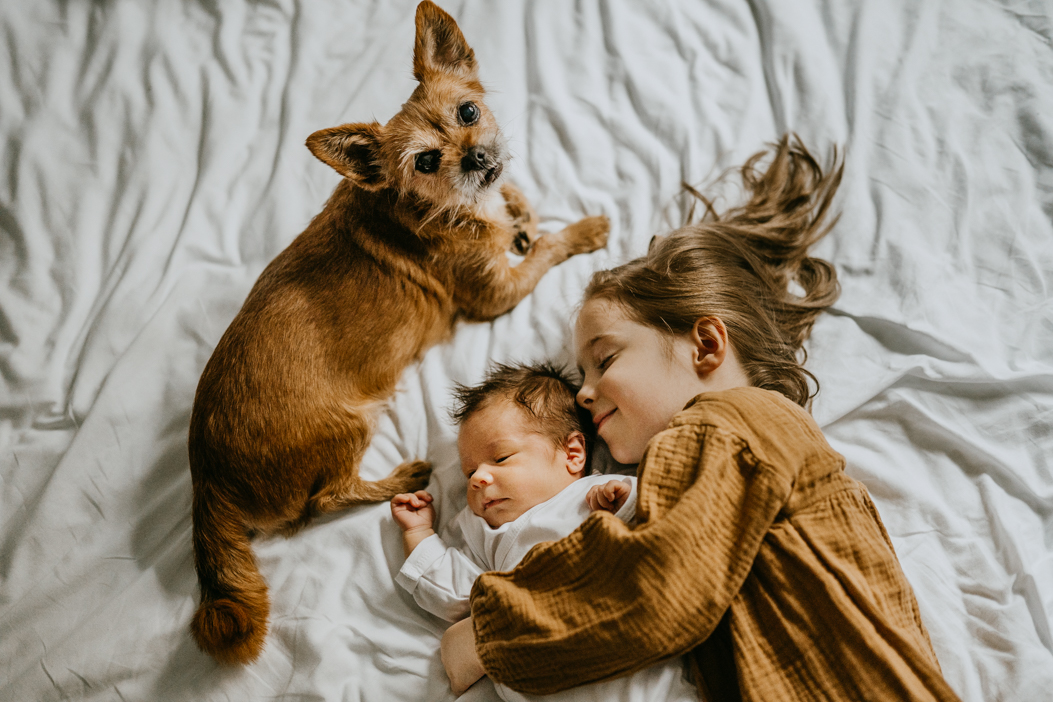 zdjęcie noworodka ze starszą siostrą i psem na łóżku podczas sesji noworodkowej