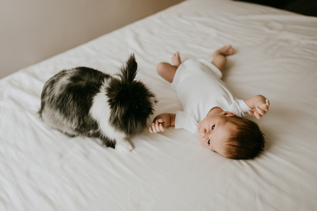 zdjęcie noworodka i królika leżącego na białej pościeli podczas sesji domowej w warszawie